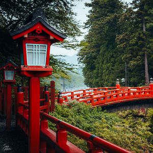 Preview wallpaper bridge, red, lights, forest, japan