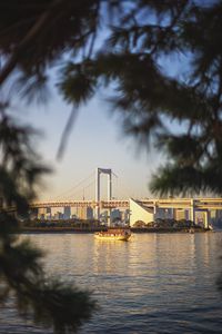 Preview wallpaper bridge, river, boat, branches