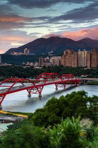 Preview wallpaper bridge, river, buildings, city, trees