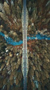 Preview wallpaper bridge, river, forest, aerial view