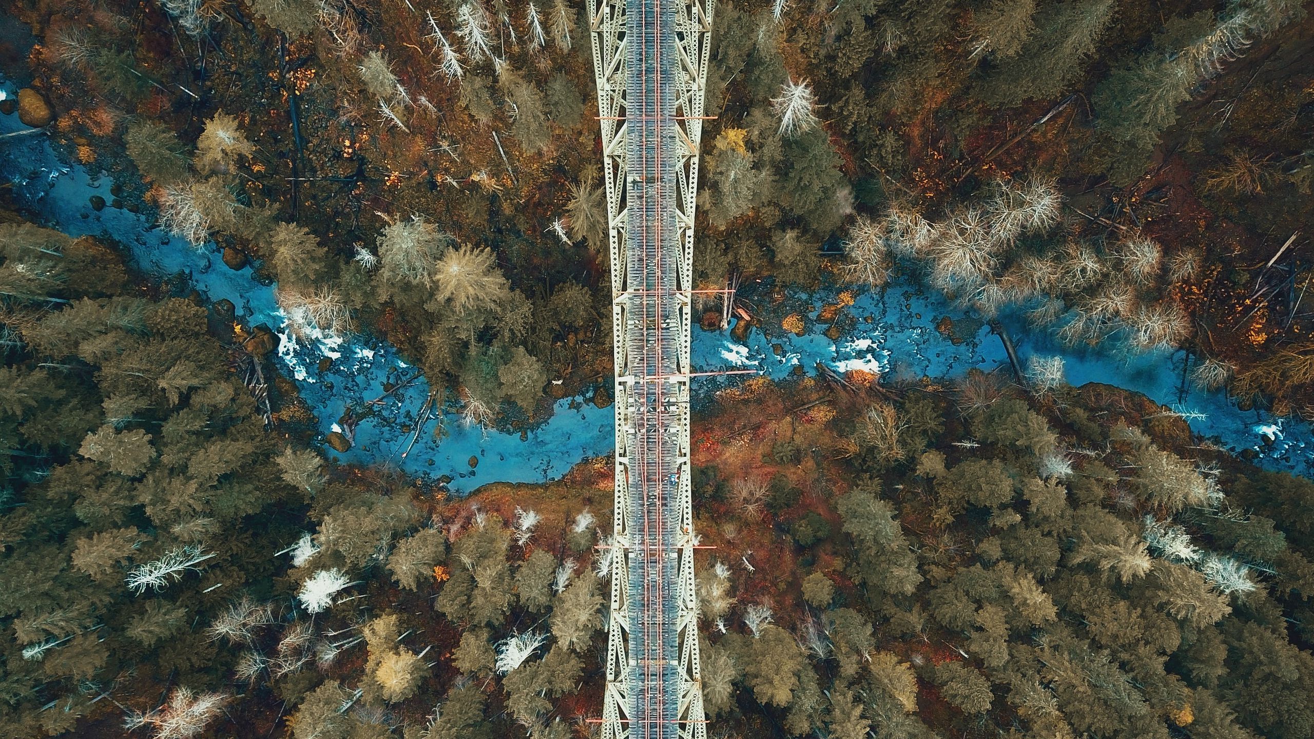 Download wallpaper 2560x1440 bridge, river, forest, aerial view