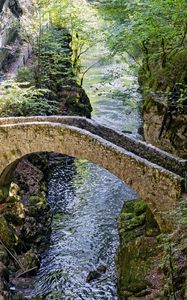 Preview wallpaper bridge, river, forest, cliffs, gorge, nature