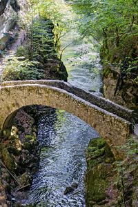 Preview wallpaper bridge, river, forest, cliffs, gorge, nature