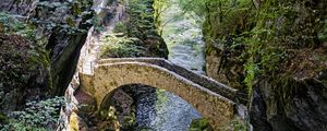Preview wallpaper bridge, river, forest, cliffs, gorge, nature