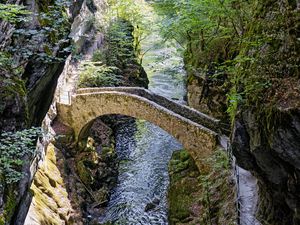 Preview wallpaper bridge, river, forest, cliffs, gorge, nature