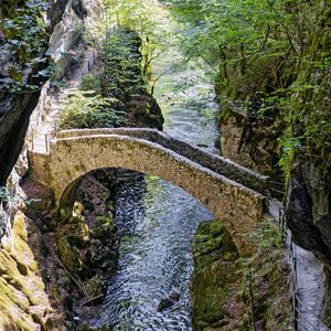 Preview wallpaper bridge, river, forest, cliffs, gorge, nature