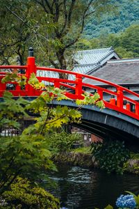 Preview wallpaper bridge, river, houses, roofs, tree