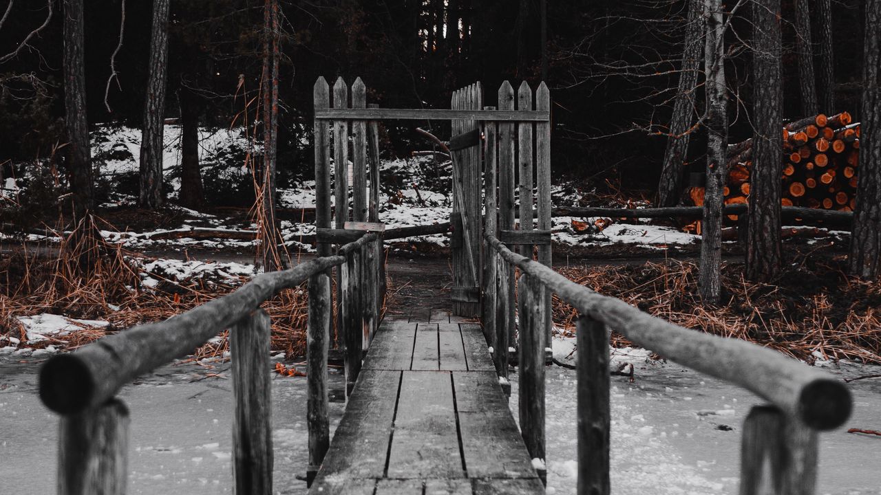 Wallpaper bridge, river, ice, forest, nature