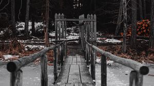 Preview wallpaper bridge, river, ice, forest, nature