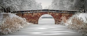 Preview wallpaper bridge, river, ice, snow, trees, winter