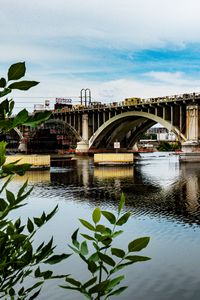 Preview wallpaper bridge, river, leaves, branches