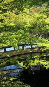 Preview wallpaper bridge, river, summer, greens