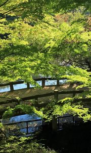 Preview wallpaper bridge, river, summer, greens