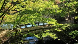 Preview wallpaper bridge, river, summer, greens