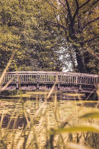 Preview wallpaper bridge, river, trees, blur