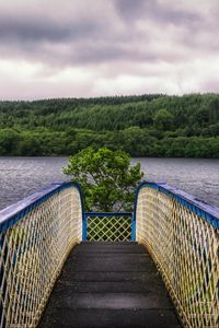 Preview wallpaper bridge, river, trees, sky