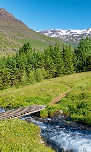 Preview wallpaper bridge, river, trees, mountains, hills, nature