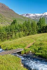 Preview wallpaper bridge, river, trees, mountains, hills, nature