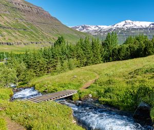 Preview wallpaper bridge, river, trees, mountains, hills, nature