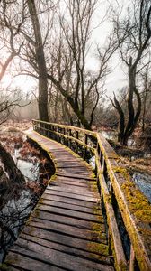 Preview wallpaper bridge, river, trees, branches