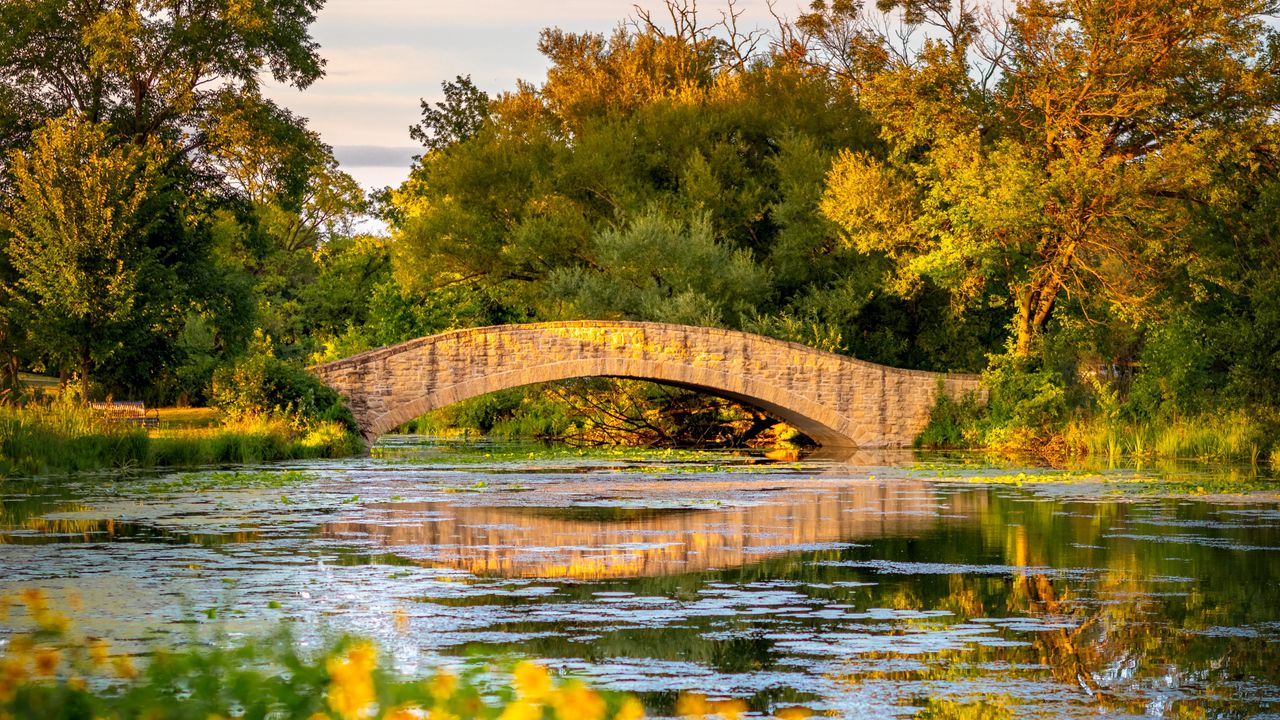 Wallpaper bridge, river, trees, bushes, autumn