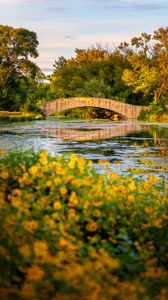 Preview wallpaper bridge, river, trees, bushes, autumn