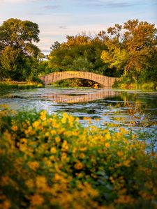 Preview wallpaper bridge, river, trees, bushes, autumn