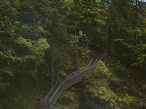 Preview wallpaper bridge, river, trees, stones, rocks