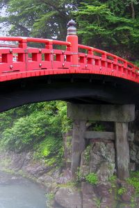 Preview wallpaper bridge, river, trees