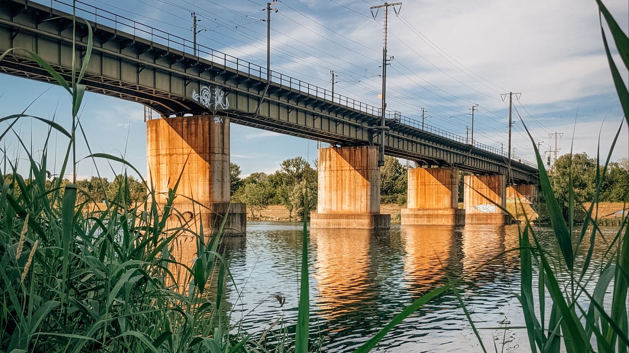 Wallpaper bridge, river, water, reeds