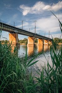 Preview wallpaper bridge, river, water, reeds