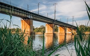 Preview wallpaper bridge, river, water, reeds