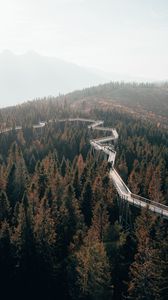 Preview wallpaper bridge, road, forest, trees, mountains, fog