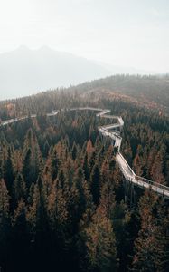 Preview wallpaper bridge, road, forest, trees, mountains, fog