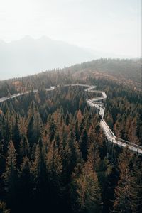 Preview wallpaper bridge, road, forest, trees, mountains, fog