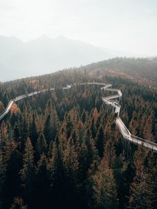 Preview wallpaper bridge, road, forest, trees, mountains, fog