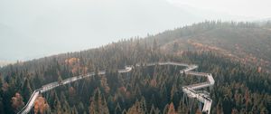 Preview wallpaper bridge, road, forest, trees, mountains, fog