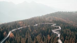 Preview wallpaper bridge, road, forest, trees, mountains, fog