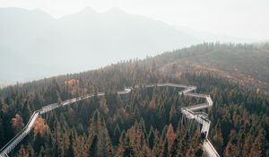 Preview wallpaper bridge, road, forest, trees, mountains, fog