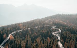 Preview wallpaper bridge, road, forest, trees, mountains, fog