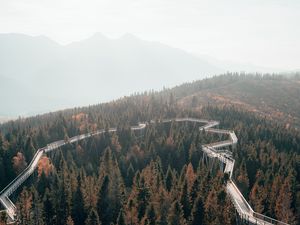 Preview wallpaper bridge, road, forest, trees, mountains, fog