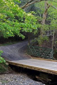 Preview wallpaper bridge, road, trees, landscape