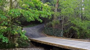 Preview wallpaper bridge, road, trees, landscape