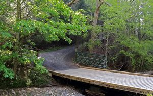 Preview wallpaper bridge, road, trees, landscape