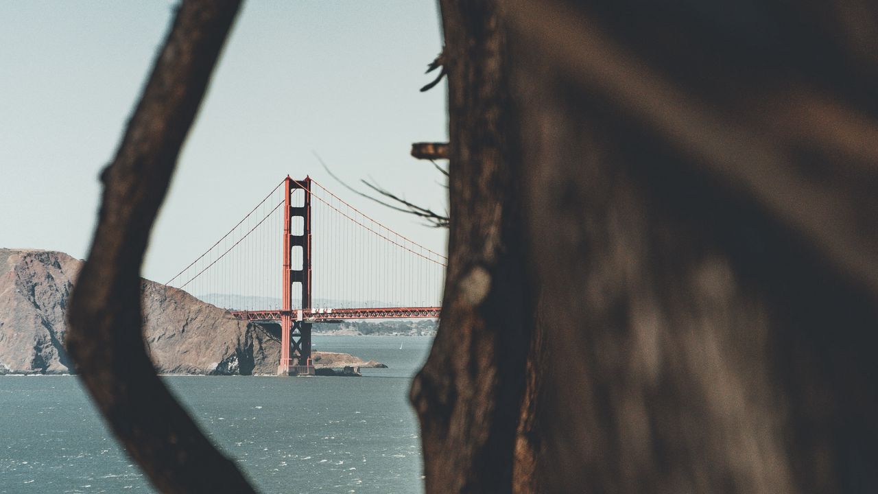 Wallpaper bridge, rocks, tree, sea
