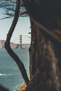 Preview wallpaper bridge, rocks, tree, sea