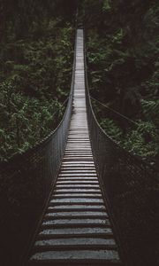 Preview wallpaper bridge, rope bridge, suspension bridge, forest, trees, height