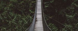 Preview wallpaper bridge, rope bridge, suspension bridge, forest, trees, height