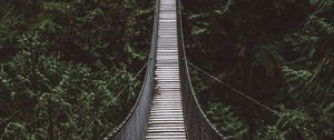 Preview wallpaper bridge, rope bridge, suspension bridge, forest, trees, height