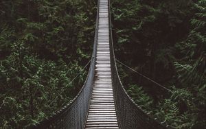 Preview wallpaper bridge, rope bridge, suspension bridge, forest, trees, height